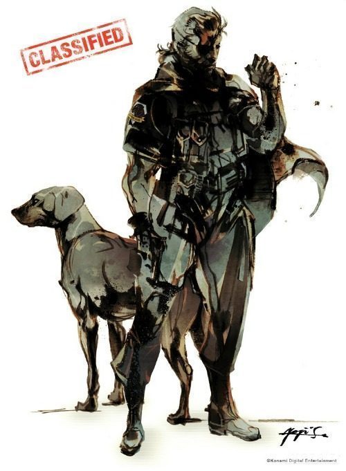 [AKB] Metal Gear 5