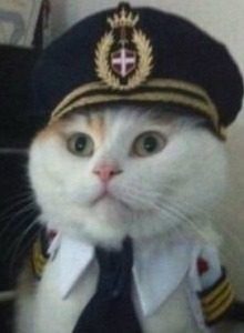 captain cat