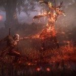 The Witcher 3: The Wild Hunt Galería 11