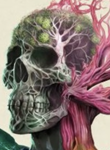 Reseña: Avowed, de las mejores aventuras de rol que he jugado